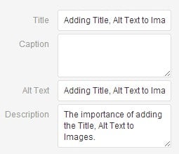 Adding Title, Alt Text and Description to Images