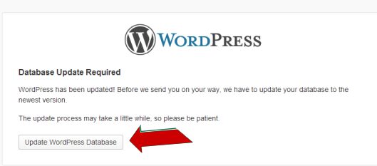 Update WordPress Database