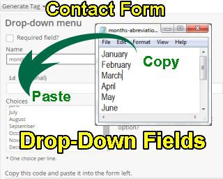 Contact Form Drop-Down Fields