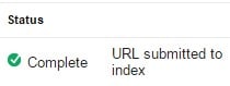 Indexed Almost Immediately by Google