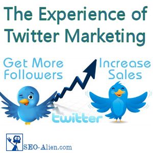 The Experience of Twitter Marketing