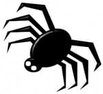 What are Search Engine Spiders