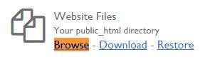 Browse Website Files