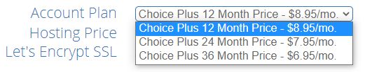 Bluehost's Choice Plus Package